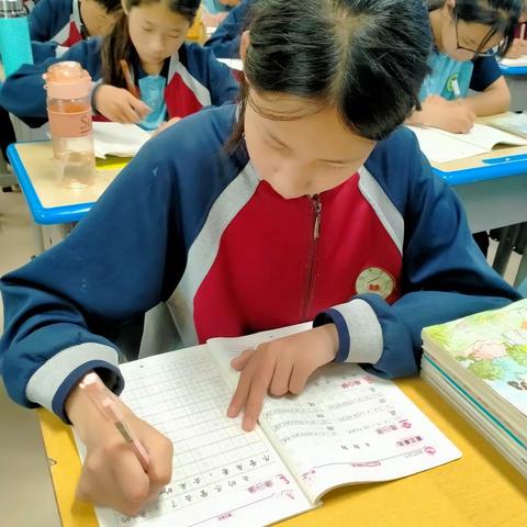 静心写字   以字润心  ——鸡泽学区吴官营中心小学