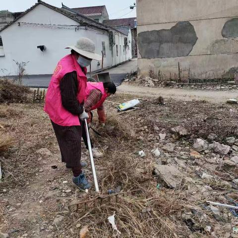 乡村志愿行：用双手守护家乡的美