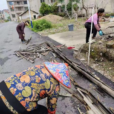 人居环境整治在行动