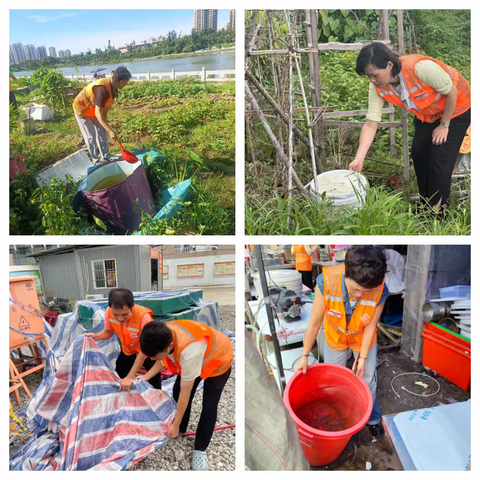 【琼山基层治理】迈瀛社区网格员筑牢防线，守护居民健康——预防基孔肯雅热和登革热等蚊媒传染病工作纪实