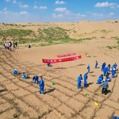 达电参加荒漠化综合防治黄河“几字弯”攻坚战