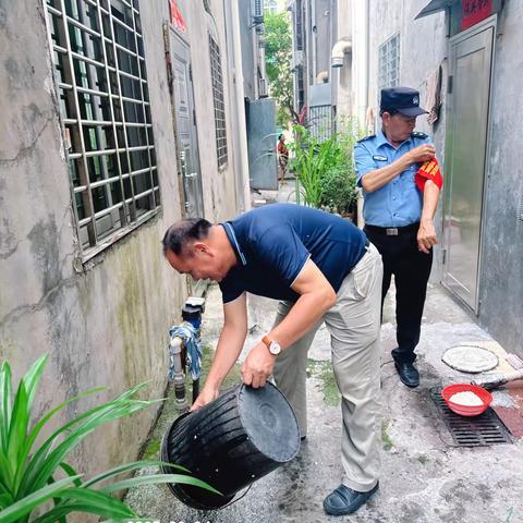 那大镇那恁村委会开展“清洁家园 防蚊灭蚊”防控基孔肯雅热、登革热等病毒专项行动