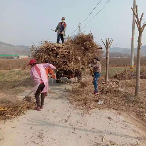 共建美好平阴—环境治理篇