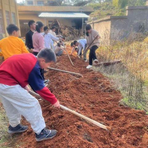 劳动最光荣，实践促成长——记洋迳小学劳动实践活动