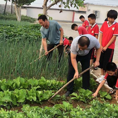 柏乡县南鲁中心小学开展“开学第一课，六课教育”活动