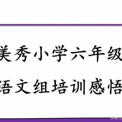 郑州市郑东新区美秀小学语文培训反思与收获（六）