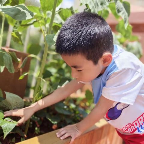 千喜龙庭幼儿园牛津一班——你好，小蜗牛