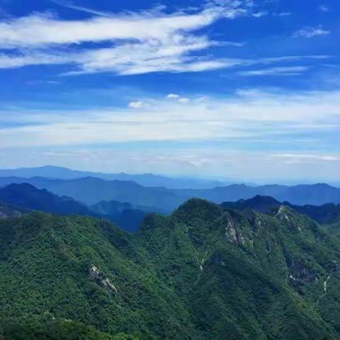 守护中央水岭  当好秦岭卫士—高陵区第四中学教育集团