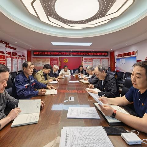 朝阳门公司党支部召开树立和践行正确政绩观学习教育交流研讨会