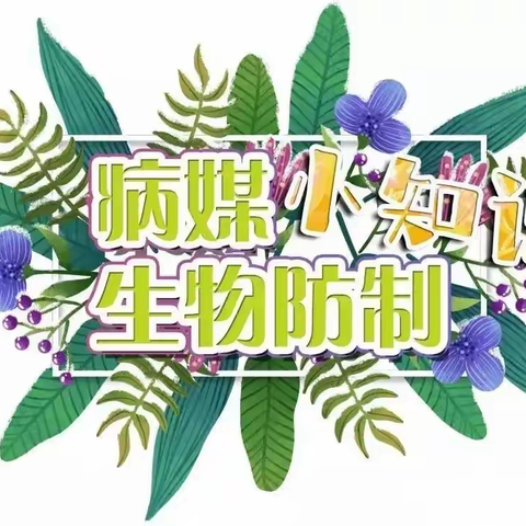 【创卫进行时】我们在行动