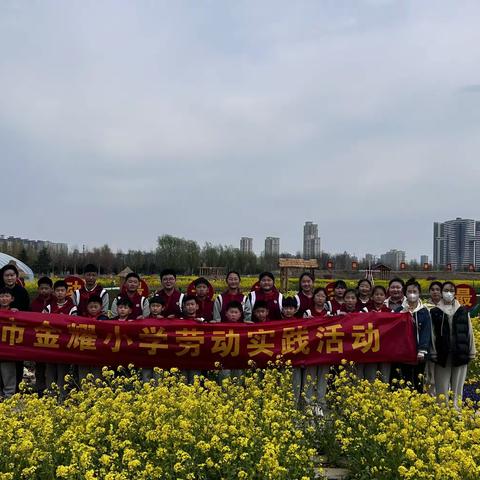 依托劳动基地 厚植劳动情怀——金耀小学劳动实践基地“植”得期待！