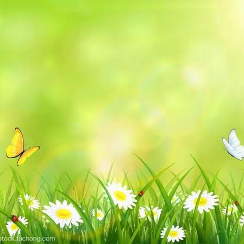 品英语魅力，秀学生风采——保定市卫生路小学英语特色活动