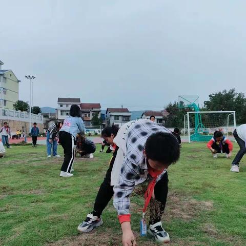 清除杂草  美化校园——土桥完全小学校内实践活动