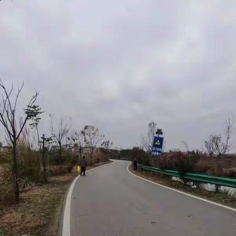 汪岗镇道路路域环境整治攻坚行动简报（12 月 17日）