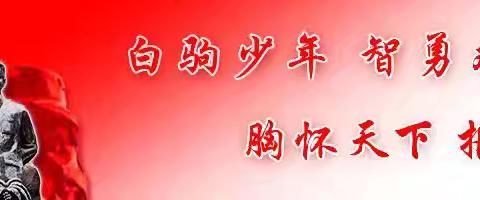 笔墨传薪，撇捺立人——海南白驹学校2024年春季学期硬笔书法特色课程总结