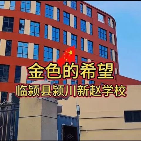 粽情飘香过端午 规范汉字传文明——临颍县颍川新赵学校2023～2024学年硬笔书法总决赛