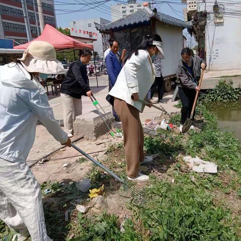 西城社区整治河道污染 守护碧水清波