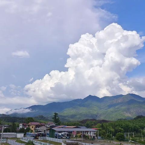 只此青绿，不止青绿——光泽县第三中学七年级研学旅行生态教育