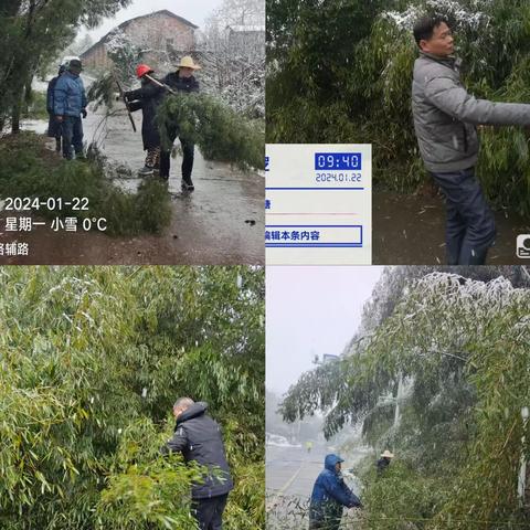 荷曙村开展清雪除障、保民生行动