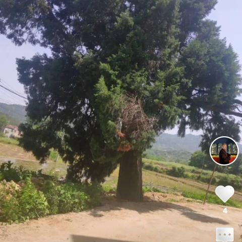 乡村秋日的温馨片段