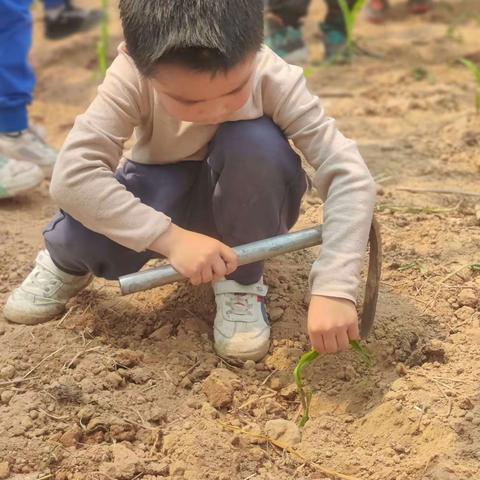 壶山小学11班 研学之旅