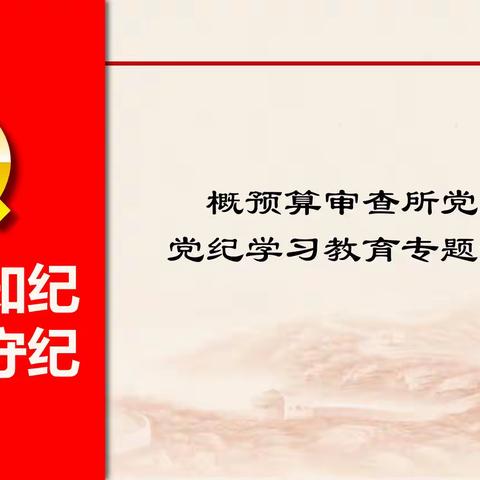 概预算审查所党支部认真开展 党纪学习教育专题读书班