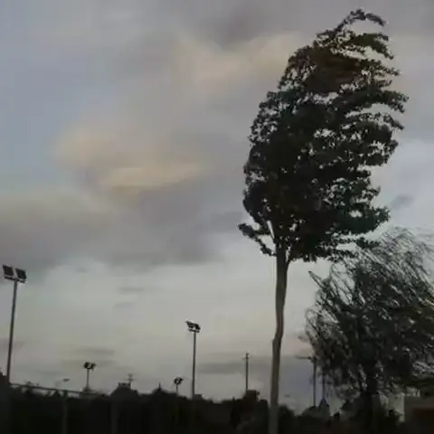 【紧急通知】康保县城关小学《极端大风致家长的一封信》