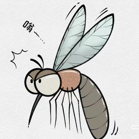 越冬蚊知识知多少