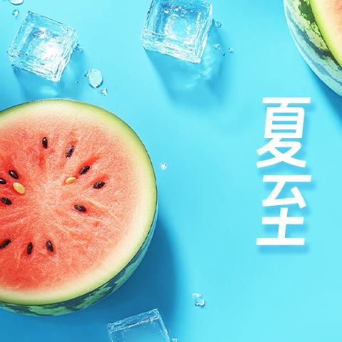 【欢喜庄乡八户幼儿园】缤纷夏至 万物向阳——夏至主题活动