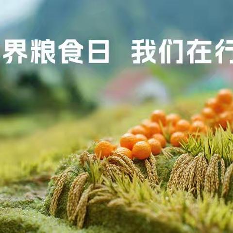 珍惜粮食 从我做起 幼儿园世界粮食日主题活动