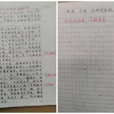 姚梓萱作文集五年级下册