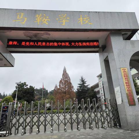 行远自迩,笃行不怠——马鞍镇学校学科教师提升培训