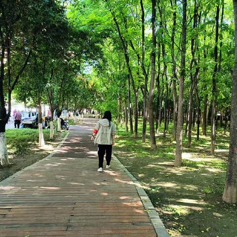 深耕网格治理 消除蜂患护万家