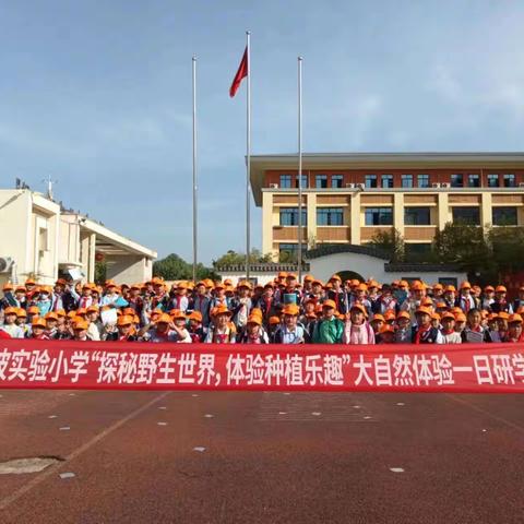 洛阳市凌波实验小学“探秘野生世界，体验种植乐趣”大自然体验一日研学活动