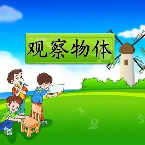 天衢新区德开小学四年级数学实践活动——【趣味数学】玩转正方体！数学实践活动《观察物体》