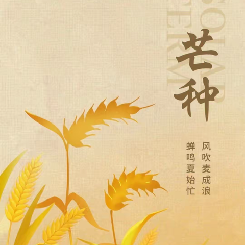 《芒种至     仲夏始 》———金川县龙河好宝宝幼儿园✨星辰班✨二十四节气之🌾芒种🌾主题活动