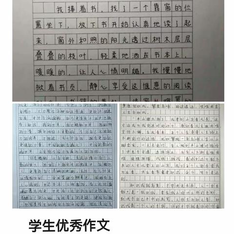 启智深耕教研路，共绘语文锦绣篇 ——九年级下学期语文教研活动纪实