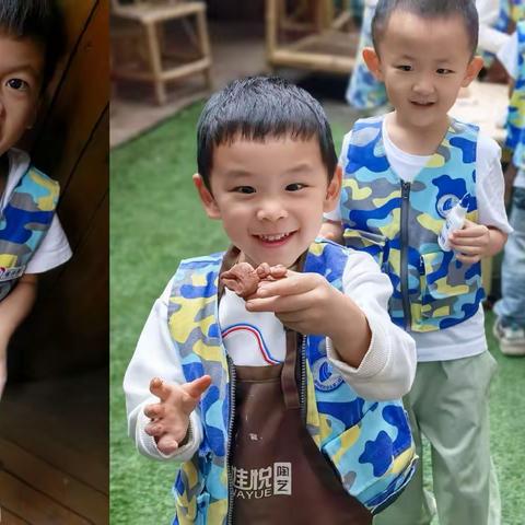 【游戏故事】玩转后院