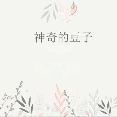 神奇的豆子--程庄镇中心幼儿园乡村特色