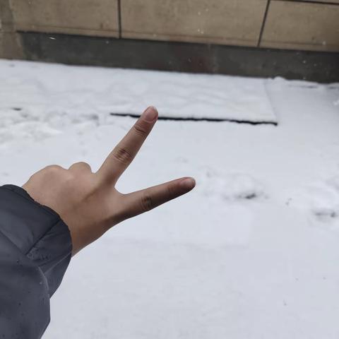 下雪了❄️