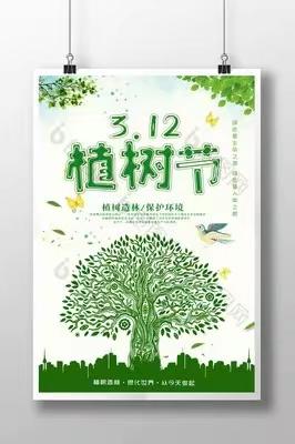 种下希望，收获未来！——苟村集镇小留集小学植树节