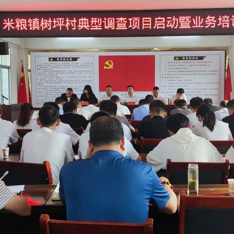 米粮镇召开典型调查项目启动暨业务培训会
