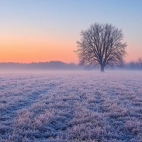 【卫生保健】 庄浪县第二幼儿园教育集团分园冬季传染病预防知识温馨小提示