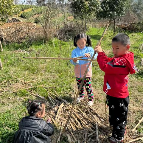 幼儿园自然游戏与户外烧烤：孩子们的自然探索之旅