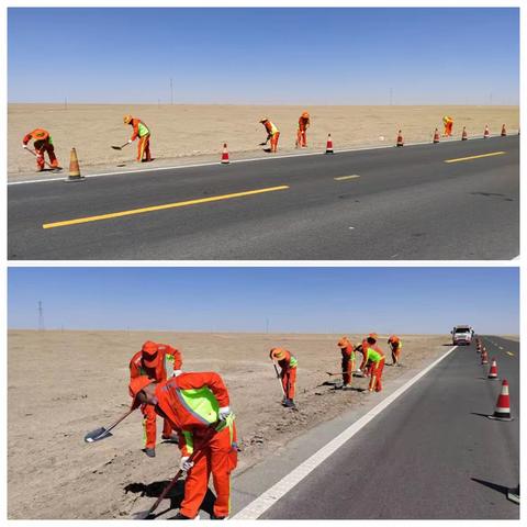 橘红齐心干劲足 路域环境美如画
