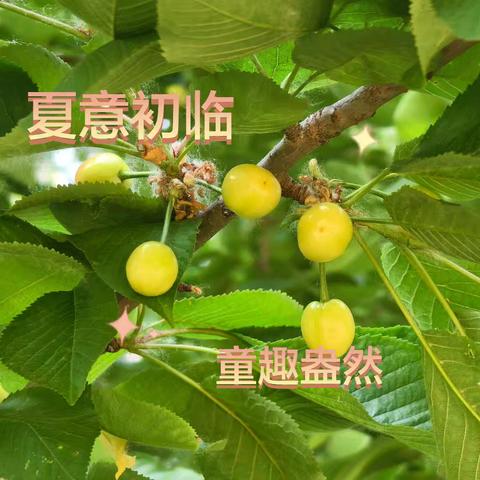 夏意初临，童趣盎然——南谢村初夏主题活动