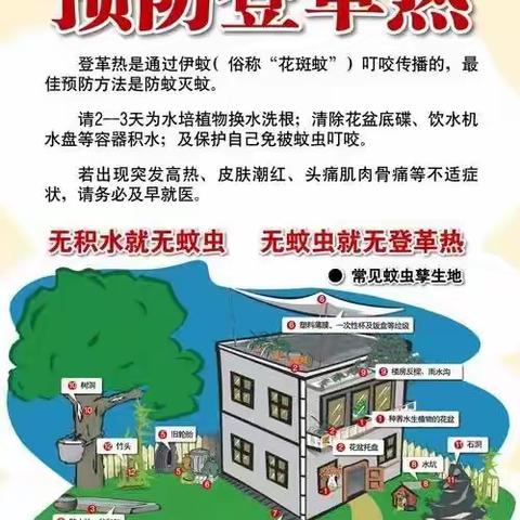 八所镇永安社区网格员两委干部预防登革热宣传