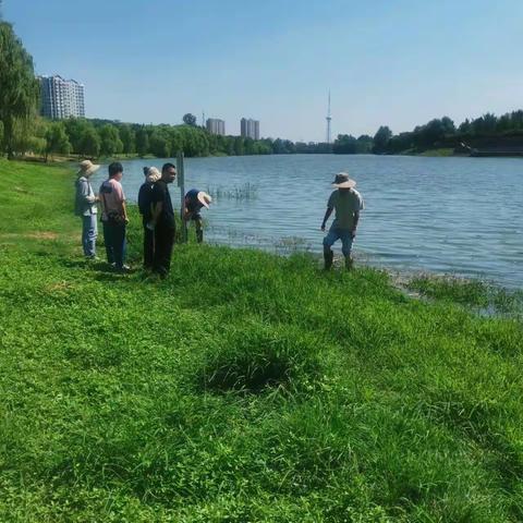 河南省漯河生态环境监测中心配合河南大学生物团队开展澧河水生态调研工作