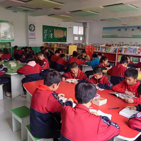 【关爱学生，幸福成长】河南疃镇骆庄小学——读万卷书 行万里路！