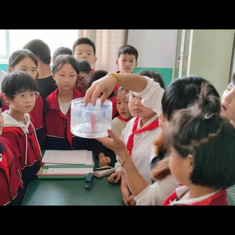 【关爱学生 幸福成长】河南疃镇骆庄小学走进科学，探索奥秘！